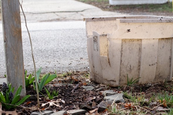 worn out rubbermaid compost bin