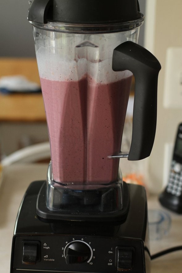 I bought a Vitamix. Here's what I think of it. The Frugal Girl