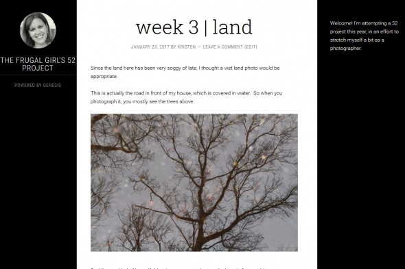 The Frugal Girl's 52 Project — - Mozilla Firefox 1232017 41447 PM