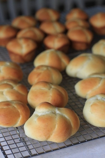 basic yeast rolls from The Frugal Girl
