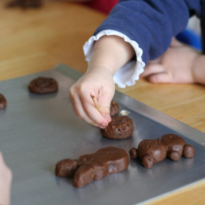 Chocolate cookie bears