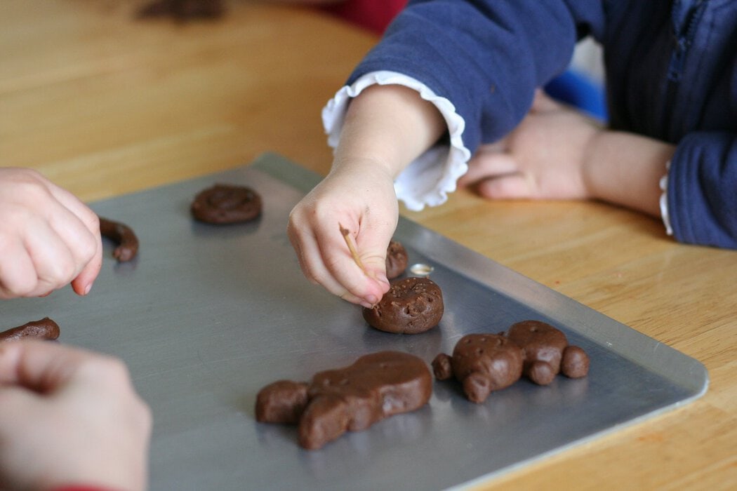 Chocolate cookie bears