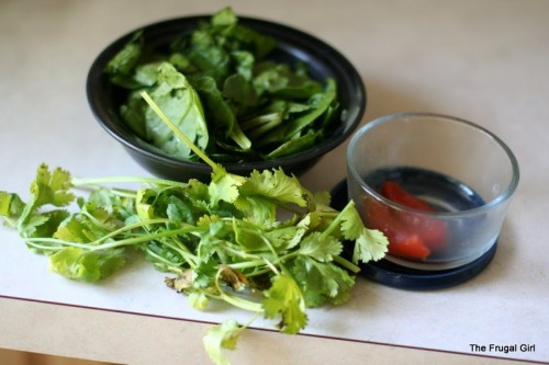 Rotten produce ready for composting.