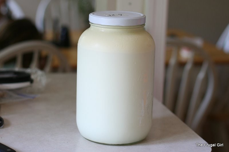 A gallon glass jar full of milk