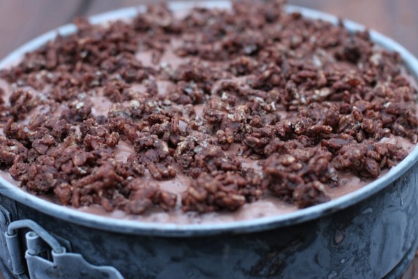 A chocolate ice cream cake in a springform pan.