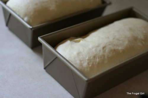 Two loaves of bread dough in rectangular pans.