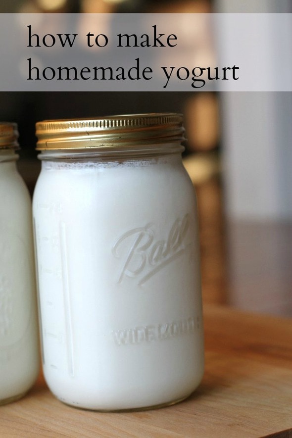How To Make Homemade Yogurt - The Frugal Girl