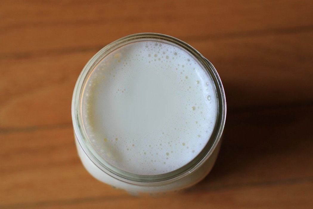 How To Make Homemade Yogurt The Frugal Girl