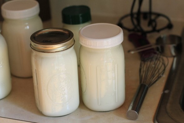 How To Make Homemade Yogurt - The Frugal Girl