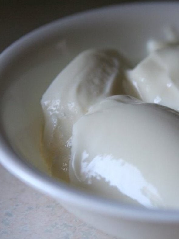 How To Make The Best Homemade Yogurt Story The Frugal Girl