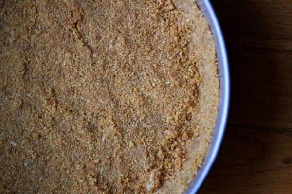 graham cracker crumbs spread in a pan.