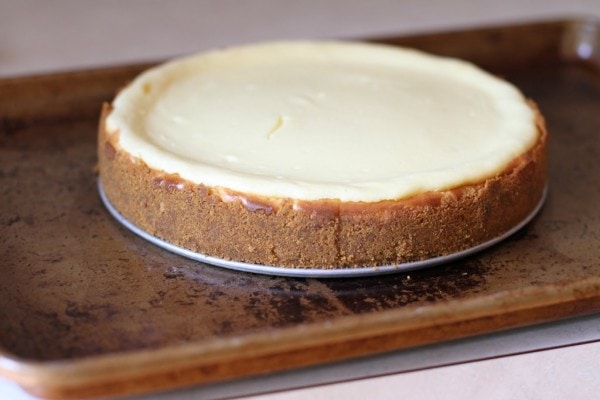 A springform pan in a shallow pan for baking.