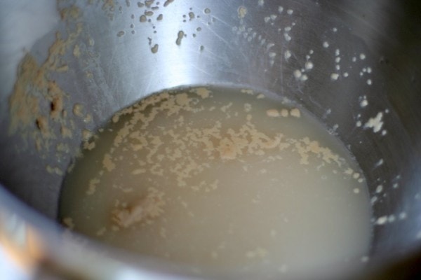 Yeast dissolved in water.