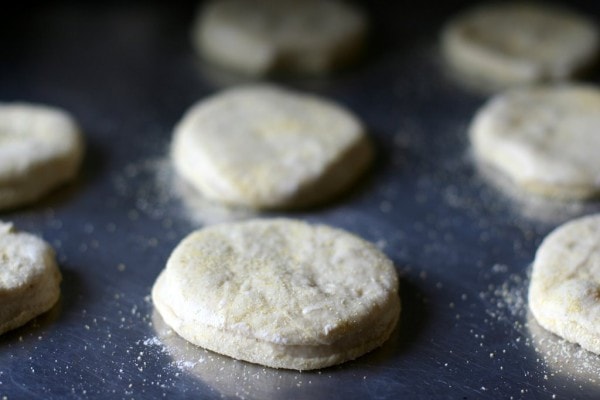 English muffins waiting to rise.