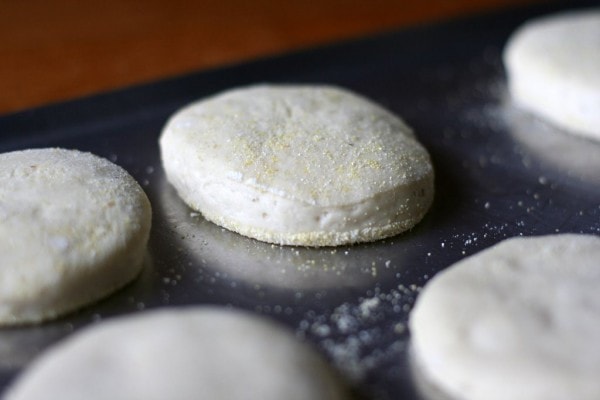 Risen English muffins.