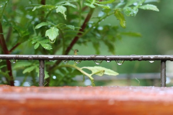 Raindrops on a metal tube.
