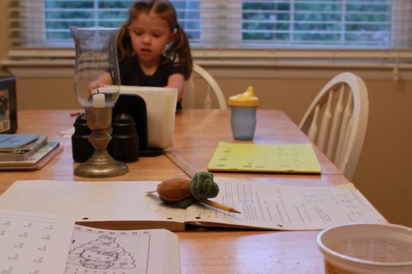 stuffed turtle on math book.