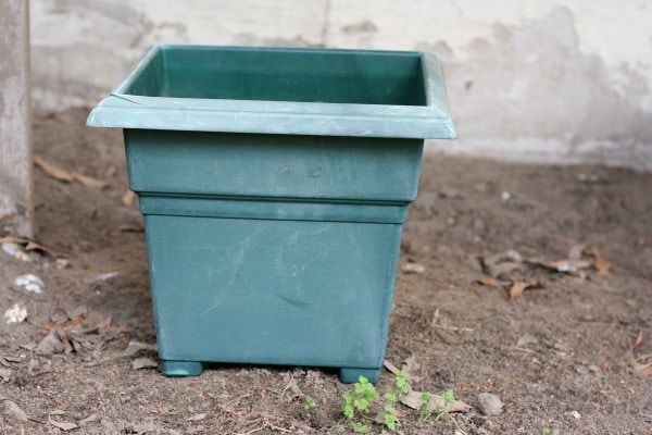 A green square plant pot.