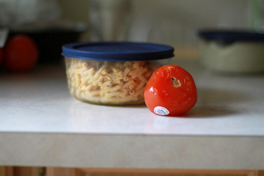 Rotten mac and cheese in a Pyrex container.