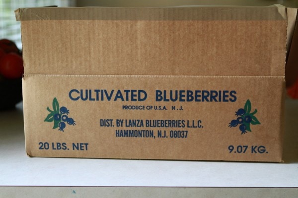 A cardboard box of blueberries