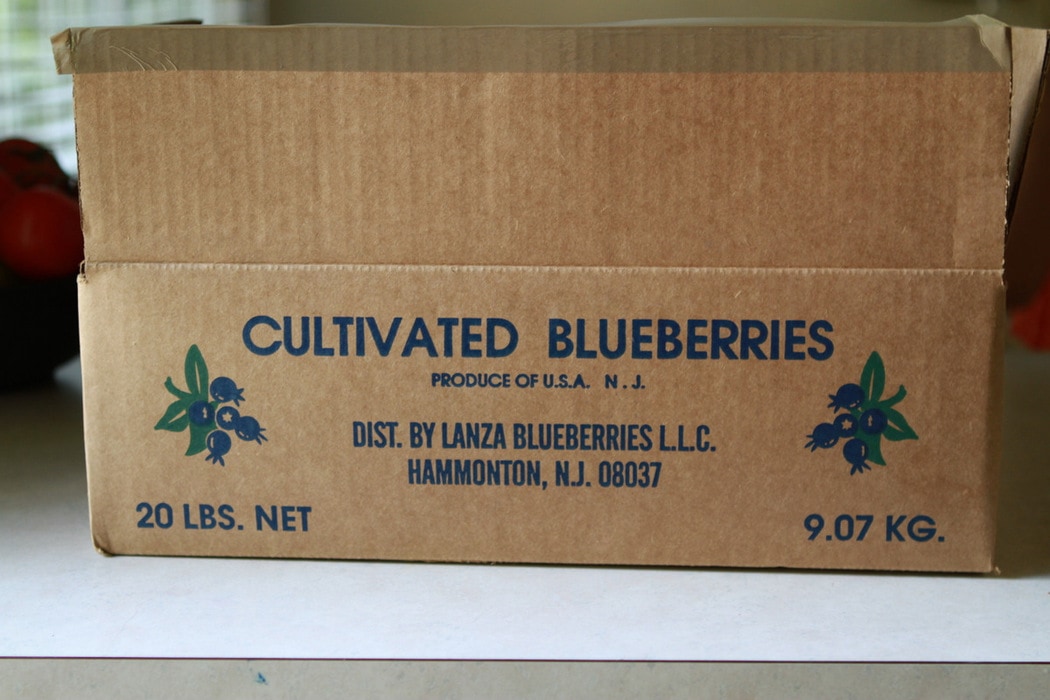 A cardboard box of blueberries