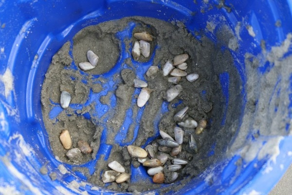 Shells in a beach bucket.