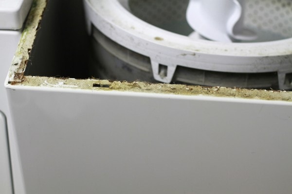 A dirty washing machine tub.