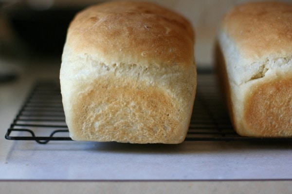 A loaf of potato bread.