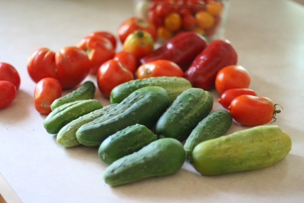 Garden produce on a countertop.