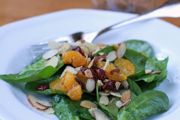 Mandarin lettuce salad on plate.