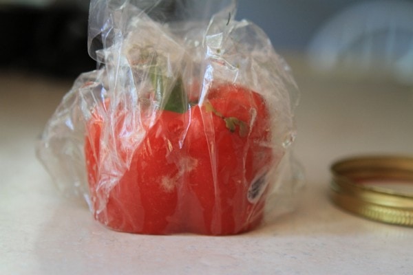 A rotten pepper in a plastic bag.