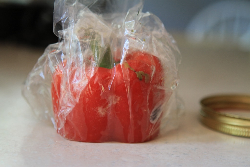 A rotten pepper in a plastic bag.
