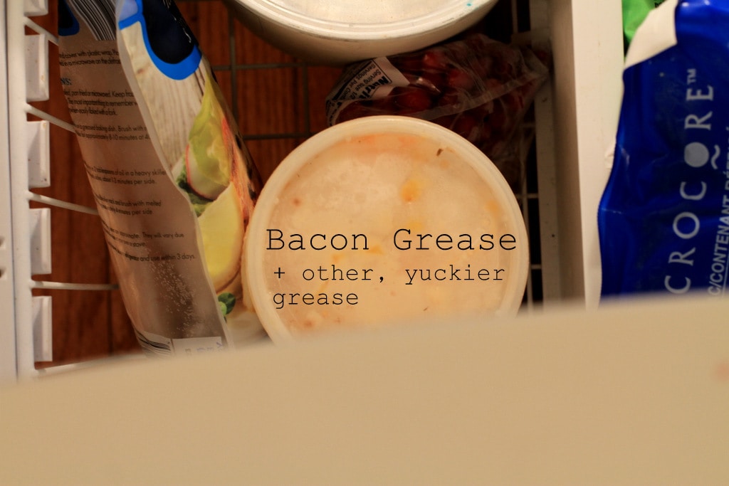 Frozen bacon grease in freezer door.