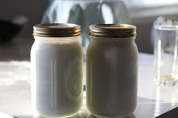 Two jars of homemade yogurt in Mason jars.