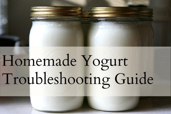 yogurt troubleshooting