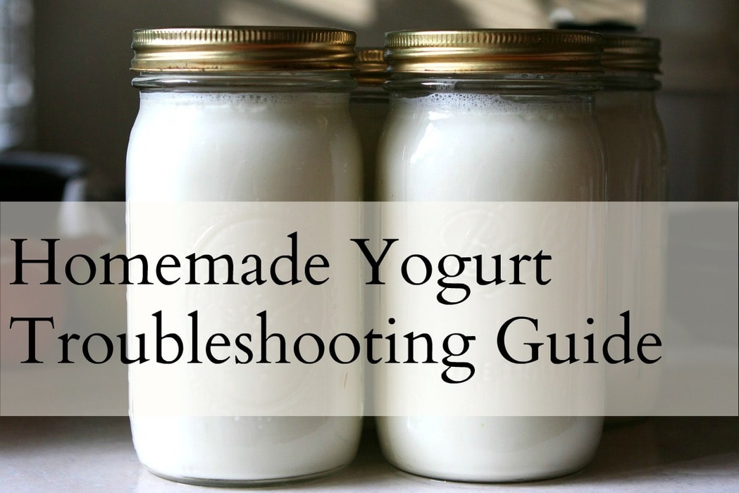 Homemade Yogurt Troubleshooting Guide The Frugal Girl