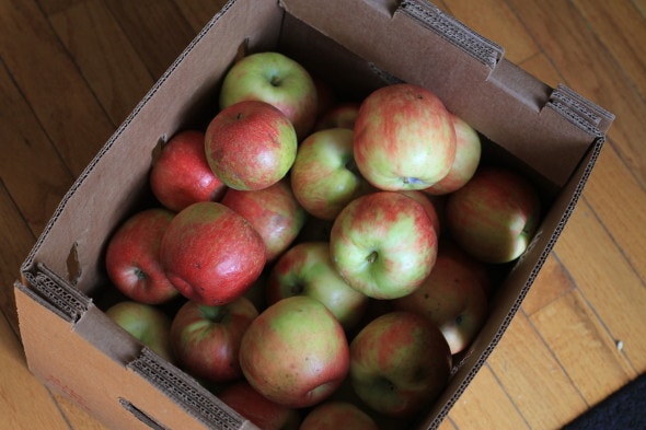 bruised apple box