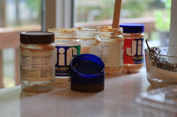 empty peanut butter jars