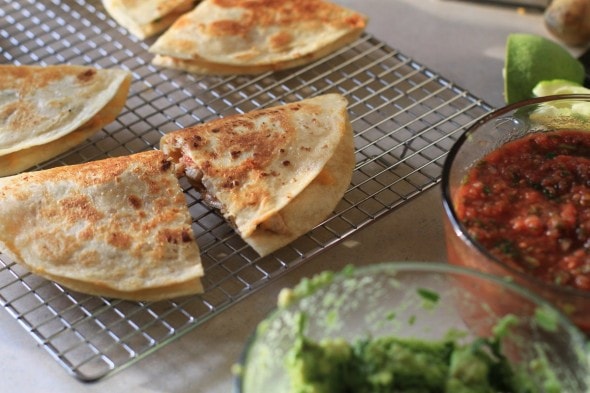 chicken quesadillas