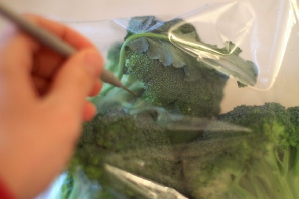 storing broccoli