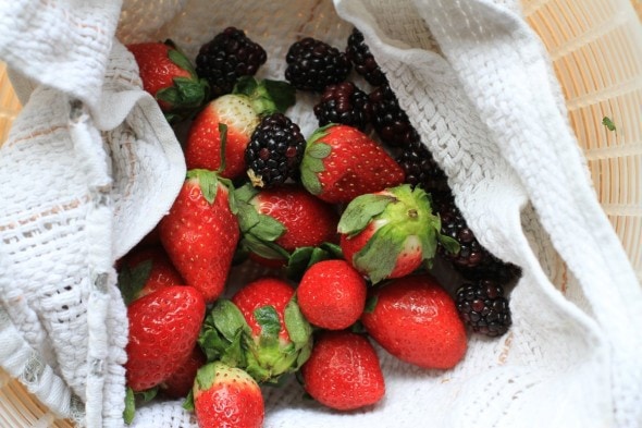 drying berries