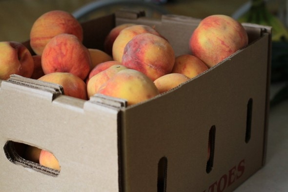 discounted box of bruised peaches