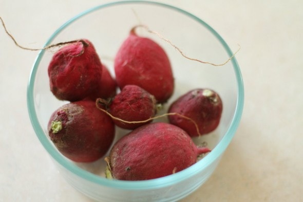 wrinkly radishes