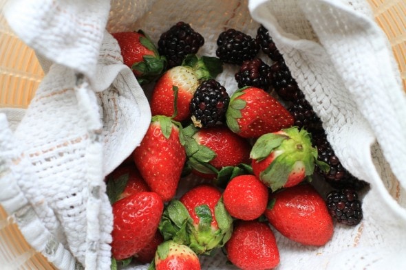 drying berries to keep them fresh