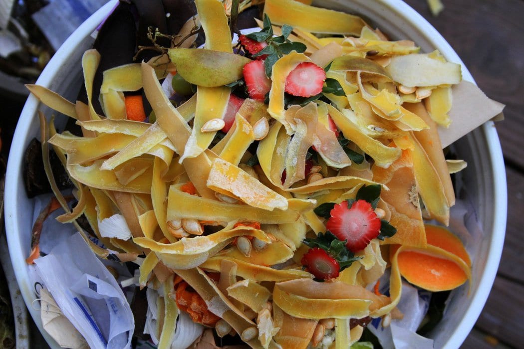 A pile of compostable scraps in a metal bowl