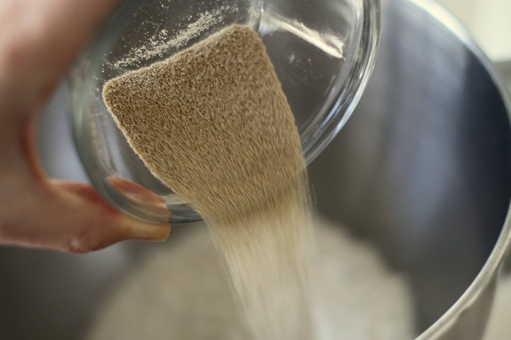 How to troubleshoot common yeast bread problems The Frugal Girl