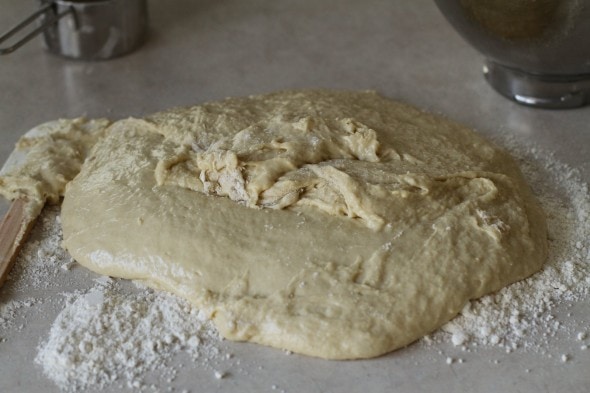 dough ready to knead