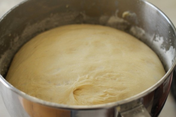 risen bread dough