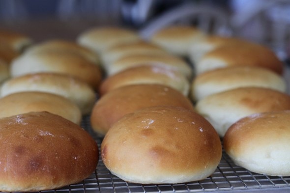 baked homemade hamburger buns