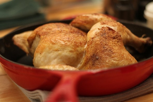 skillet roasted chicken